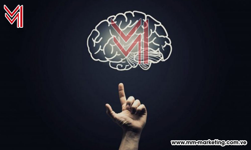 neurociencia en el marketing - mm-marketing